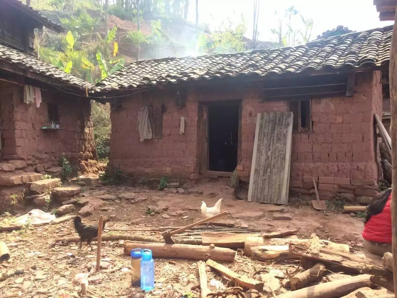 扶贫云南茶,云南茶叶今日热点