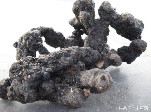 有清热解毒以及敛疮生肌的中药 (祛风止痛止血止痢敛疮生肌中药)