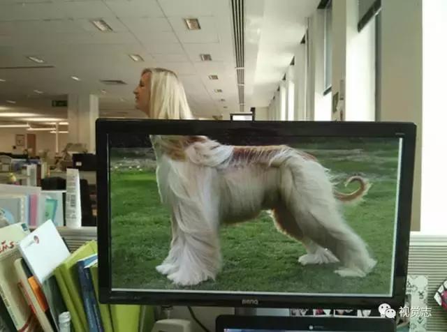 你们有遇到过这样的同事吗,你们有遇到这样的同事吗