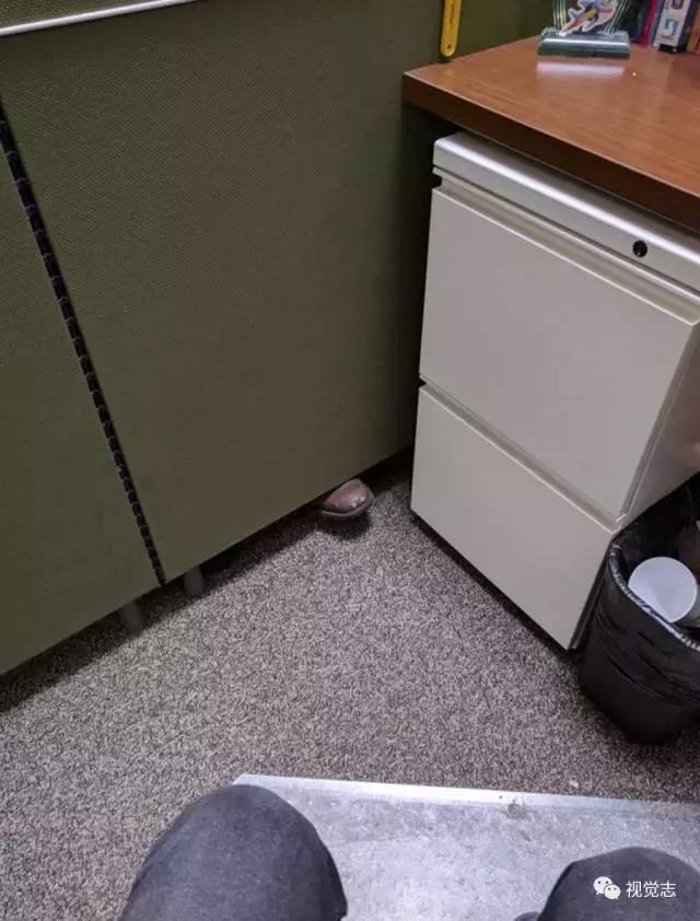 你们有遇到过这样的同事吗,你们有遇到这样的同事吗