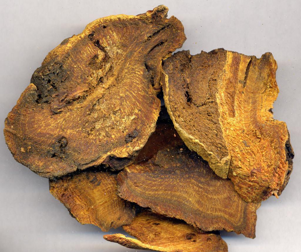 支气管哮喘的发病病因有哪些,支气管哮喘的病因及发病机制