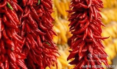 被蜜蜂蛰了怎么处理效果最好,眼睛被蜜蜂蛰了怎么处理消肿最快