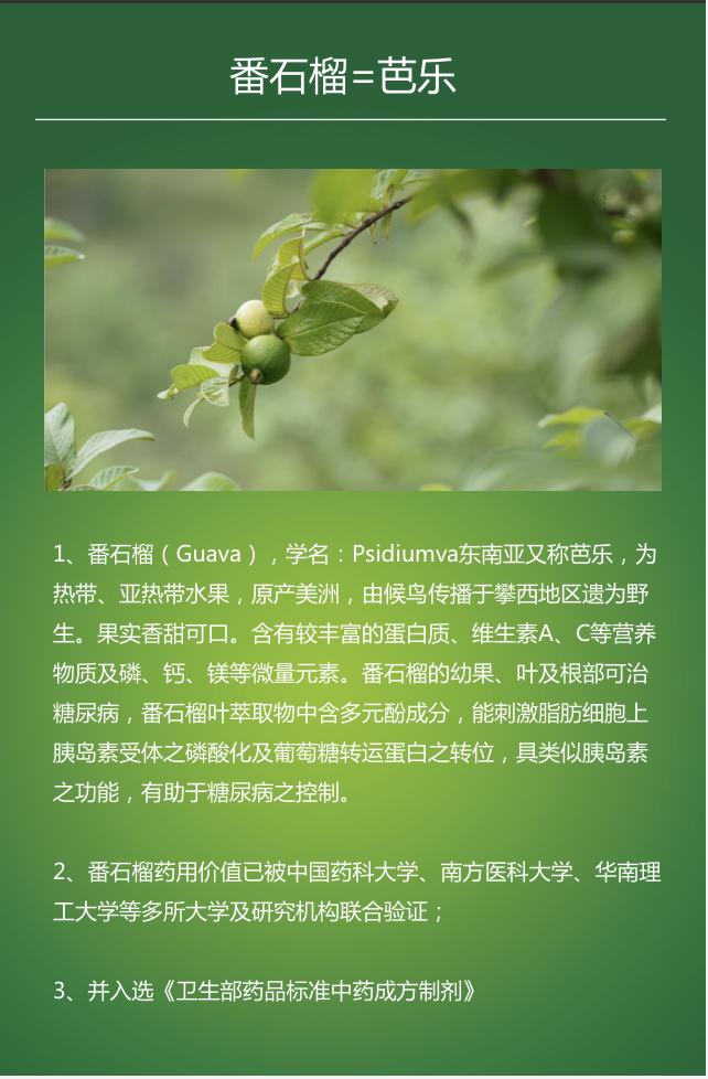 直播｜台湾中医教授讲糖尿病：恢复胰岛、治并发症，胰岛双胍降糖