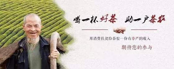 扶贫云南茶,云南茶叶今日热点