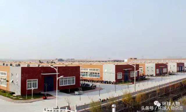 百丽为什么会倒下,百丽陷入困境