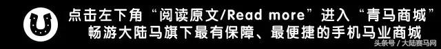 国际驭马文化节展示,cecf国际驭马文化节