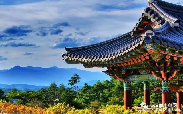 逃离柬埔寨,坐飞机去柬埔寨旅行