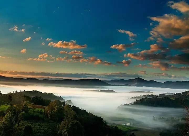 扶贫云南茶,云南茶叶今日热点