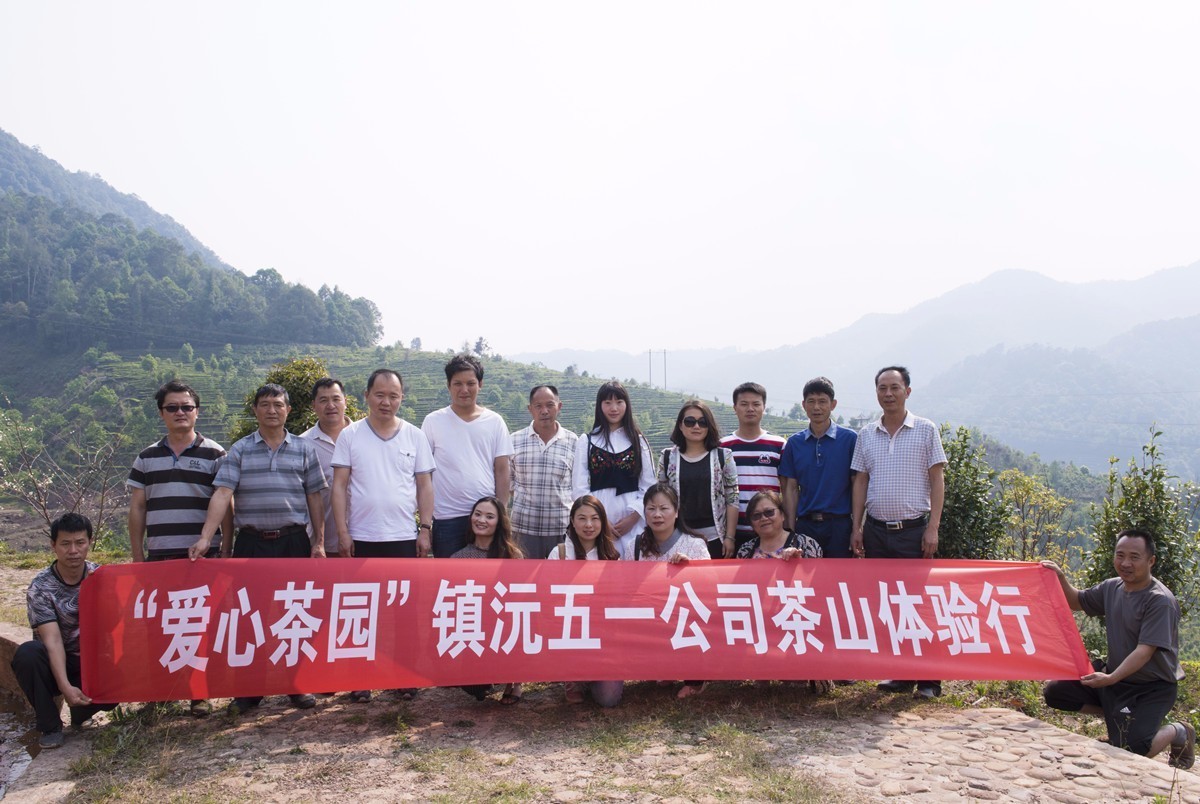 扶贫云南茶,云南茶叶今日热点