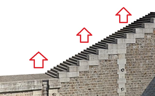 大学教育对于我们，真的是必要吗？