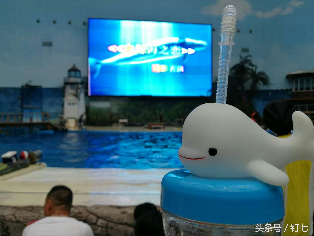 夏天与海绝配,夏天与海洋更配的图片