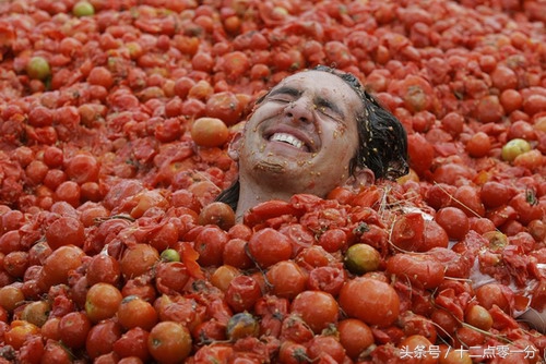 西红柿中有金戒指？8月8日后强制下架日文游戏？结果已考证