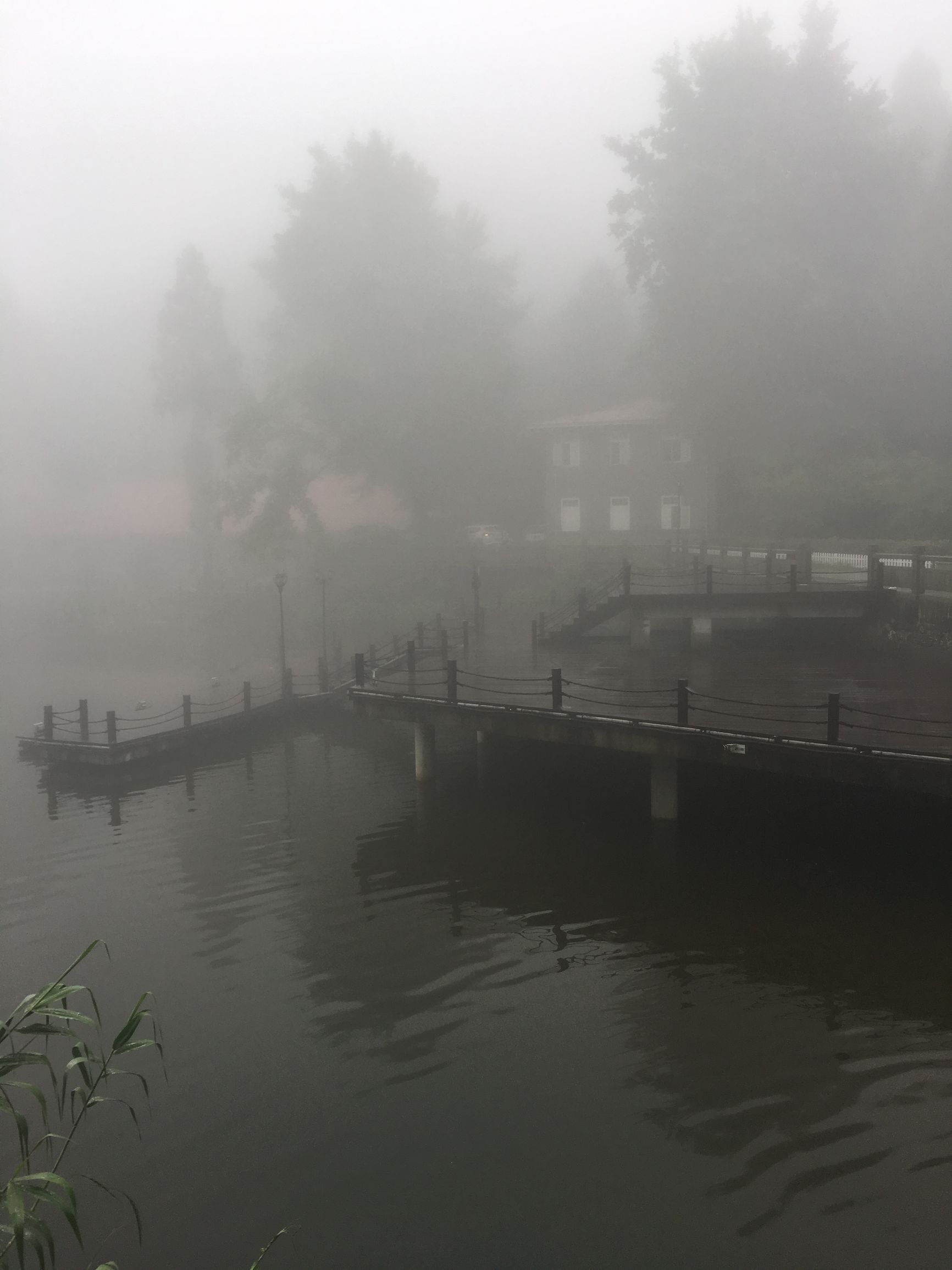 庐山云雾旅游攻略 (庐山云雾讲解)