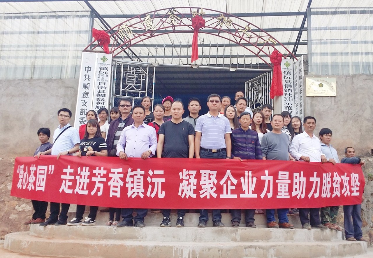 扶贫云南茶,云南茶叶今日热点