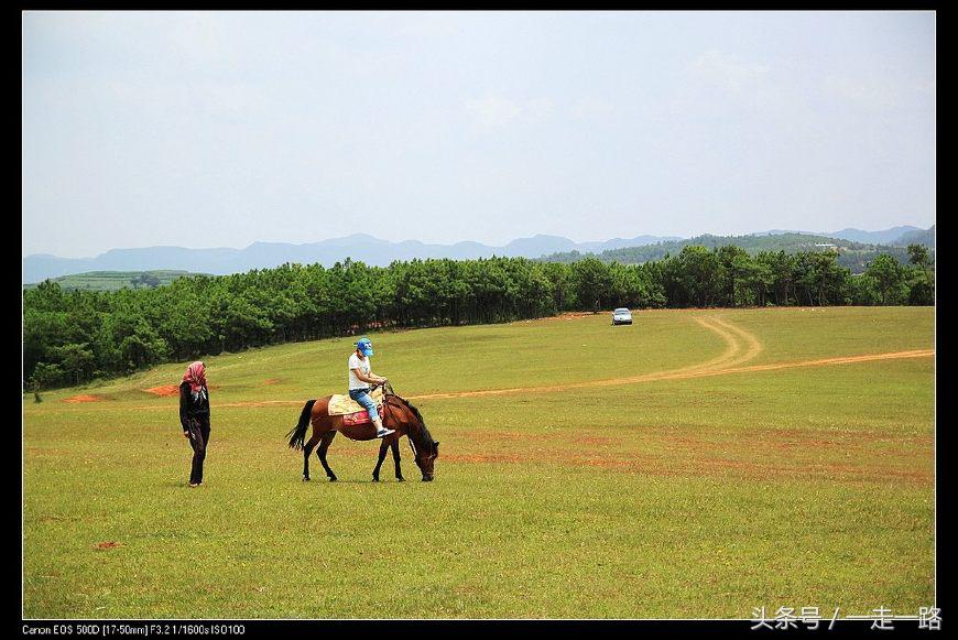云贵川自驾游线路攻略,云贵川自驾游详细路线