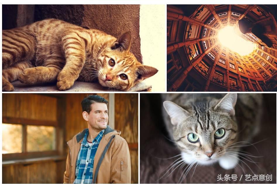 设计素材网站免费,免费设计干货大全集