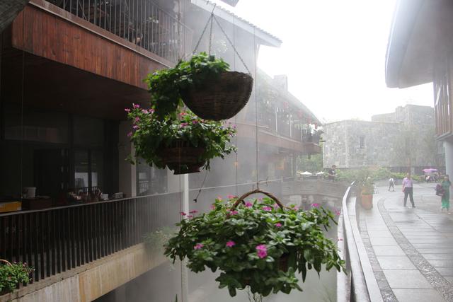 陶渊明桃花源记中的桃源,陶渊明诗中桃花源实景图片