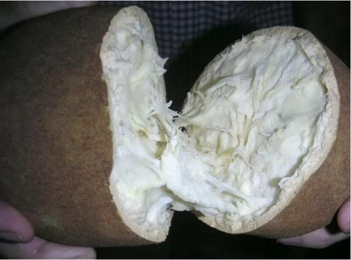 这10种水果外国人听都没听说过，中国人几乎全都认识