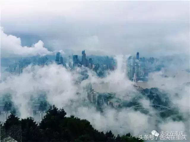 重庆要害词搜索头条,重庆要害词是什么