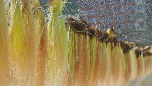 酒精肝最怕的野菜,血糖高最怕的三种野菜