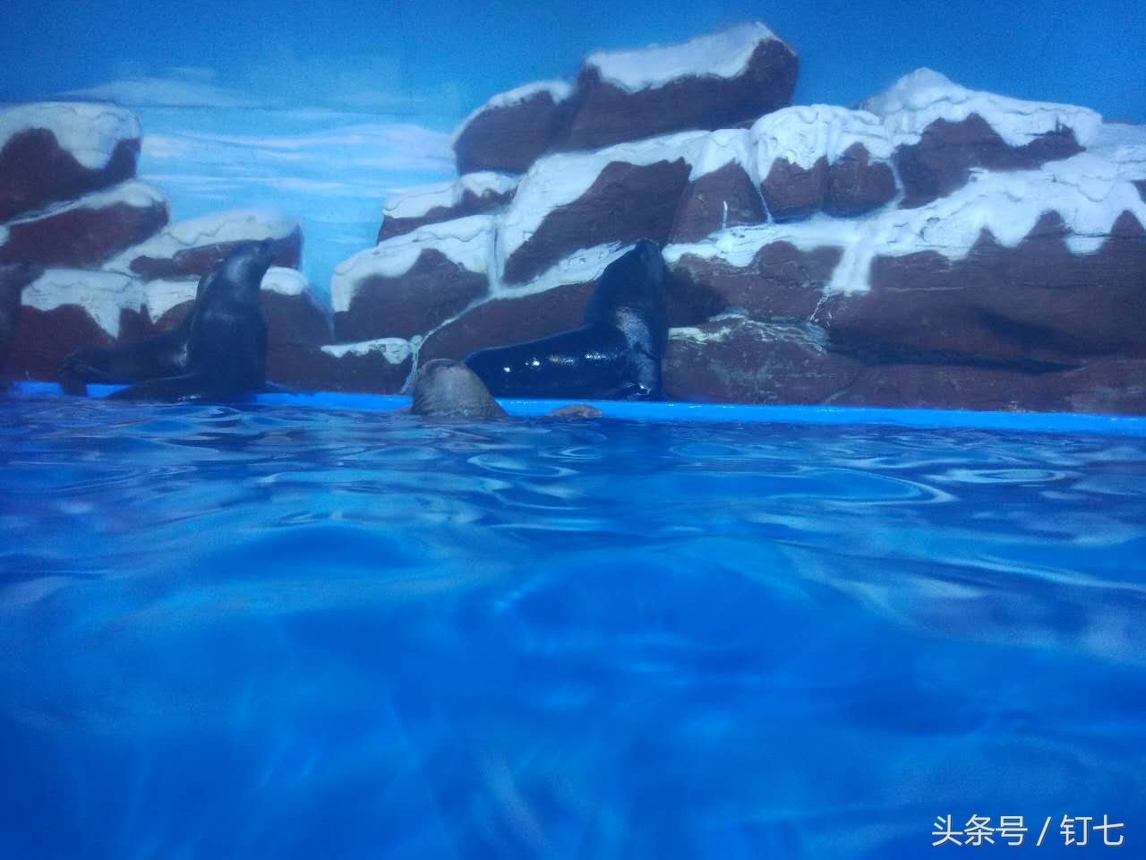 夏天与海绝配,夏天与海洋更配的图片