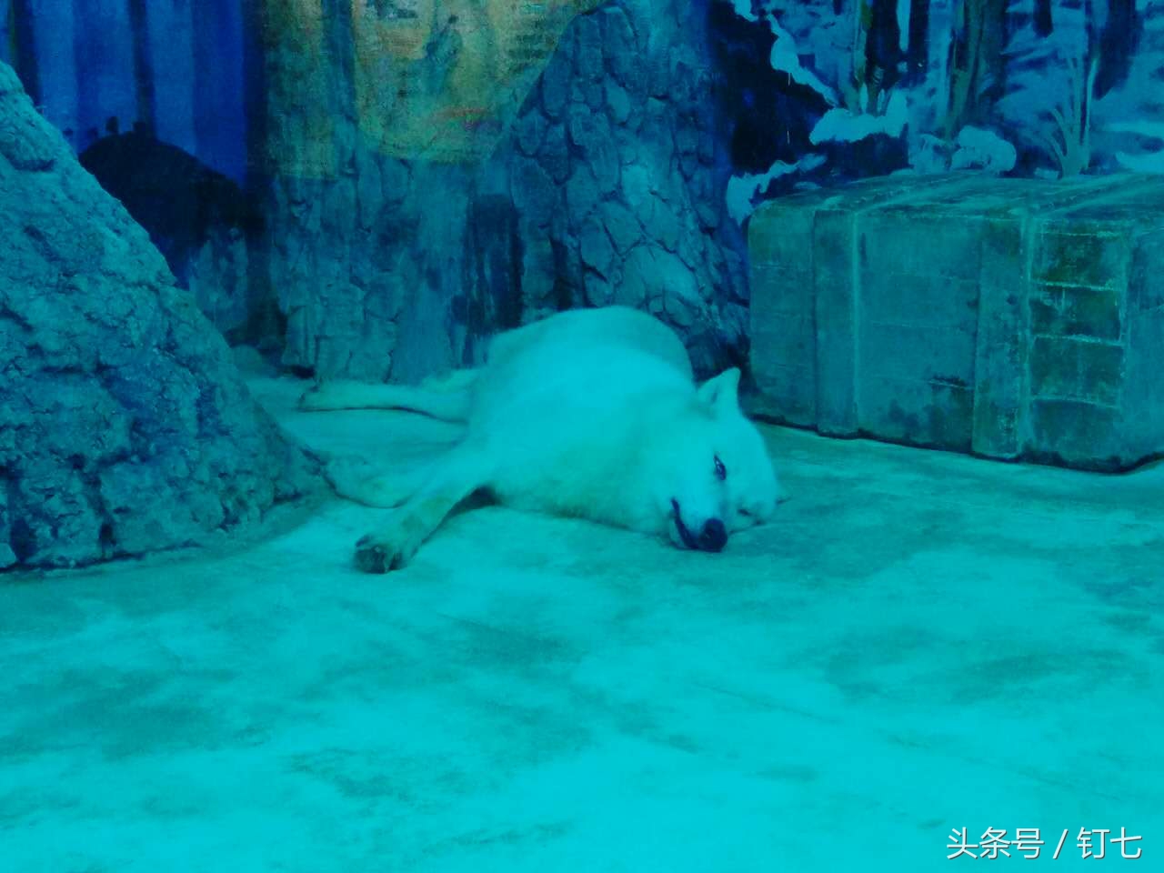 夏天与海绝配,夏天与海洋更配的图片