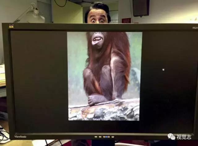 你们有遇到过这样的同事吗,你们有遇到这样的同事吗