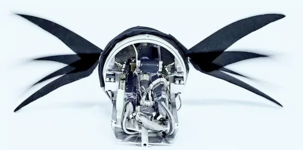 神的触手被做了出来，能够轻松吸住柱状体！