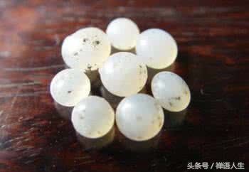 舍利子是什么东西又有什么用,舍利子究竟是什么呢