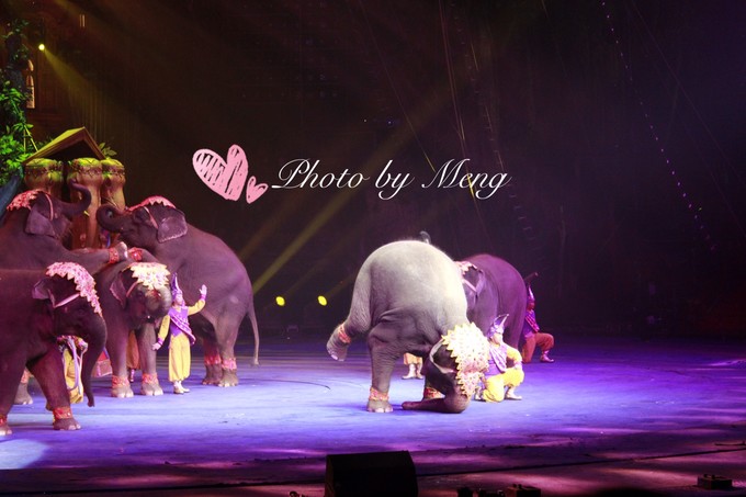 广州长隆动物园亲子游攻略三日游,珠海长隆海洋快速通道亲子游攻略