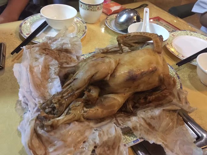 广州长隆动物园亲子游攻略三日游,珠海长隆海洋快速通道亲子游攻略