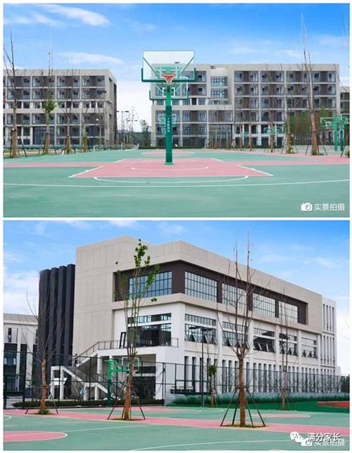 势压五大名校，直逼枫杨，这所新学校到底有多大的潜力？