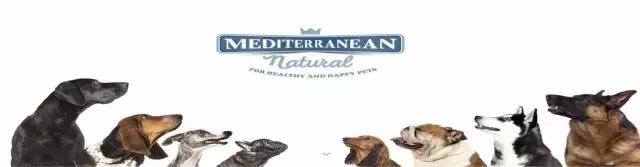 pfa颁奖现场,pfa奖项