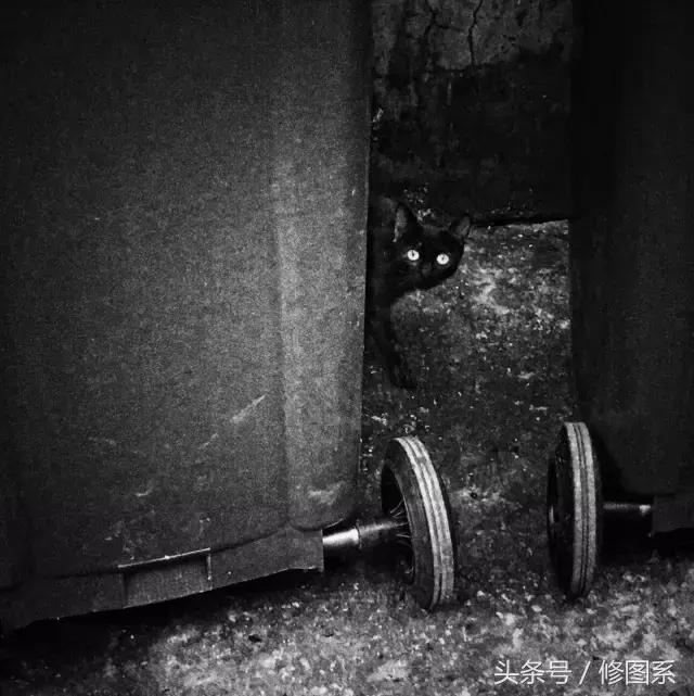 修图师会用哪些修图软件,修图师都用ps么