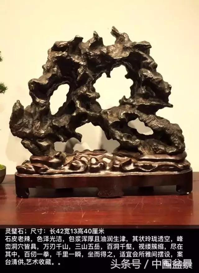 盆景的意境之美,优雅的盆景