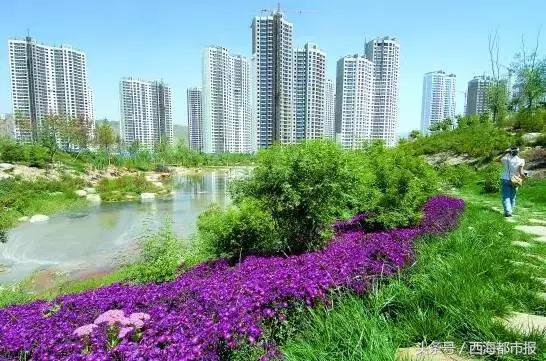 西宁变化,西宁这几年城市变化