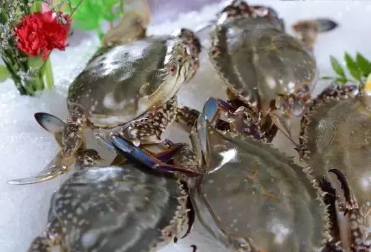 又到吃海蛎子的季节,又到了吃海鲜的季节生蚝