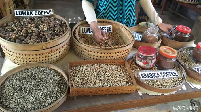 猫屎咖啡最贵的饮品,为什么猫屎咖啡是世上最贵的咖啡