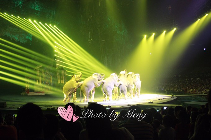 广州长隆动物园亲子游攻略三日游,珠海长隆海洋快速通道亲子游攻略