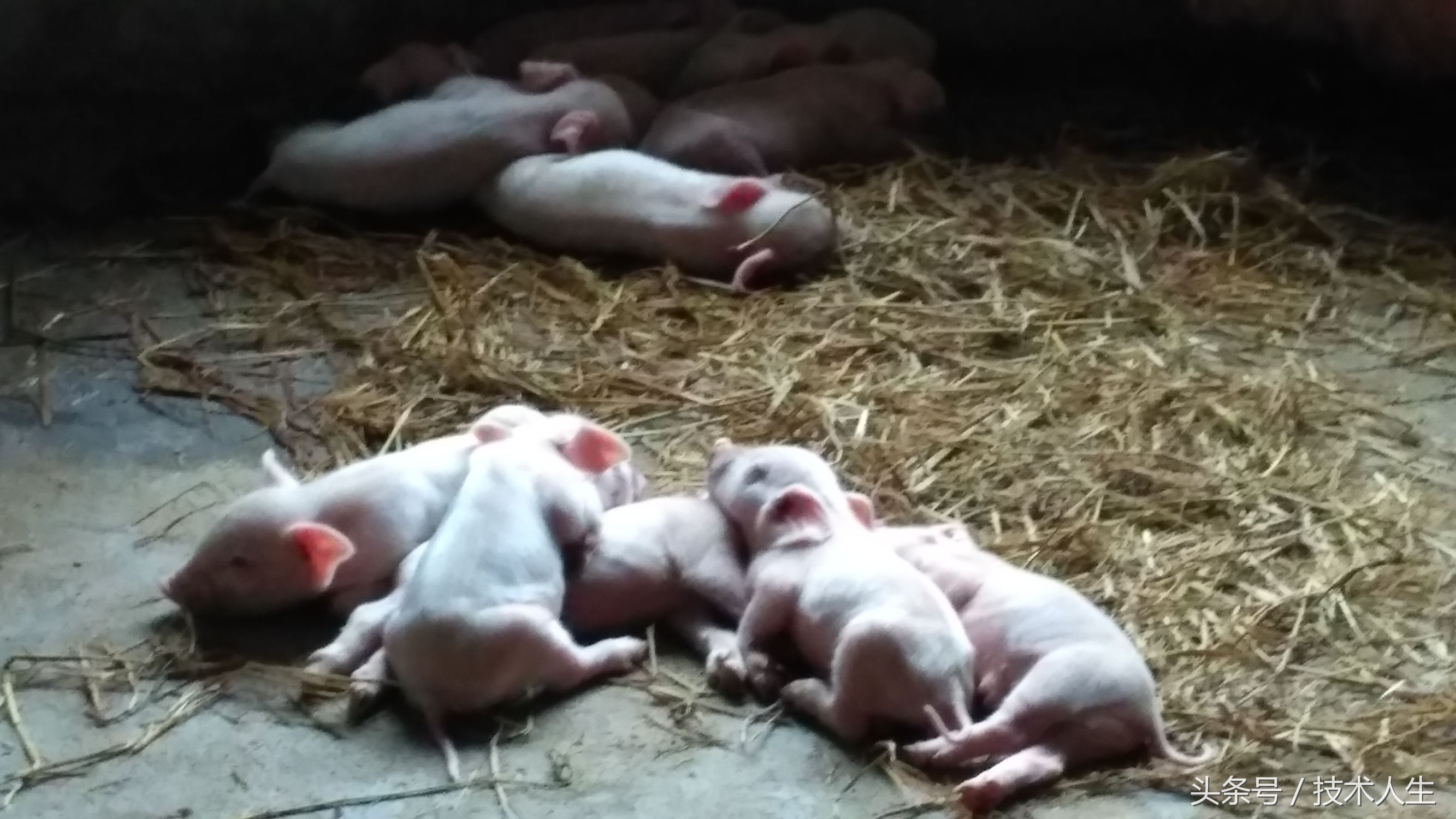 修电视把其他地方修坏了,修电视的坑