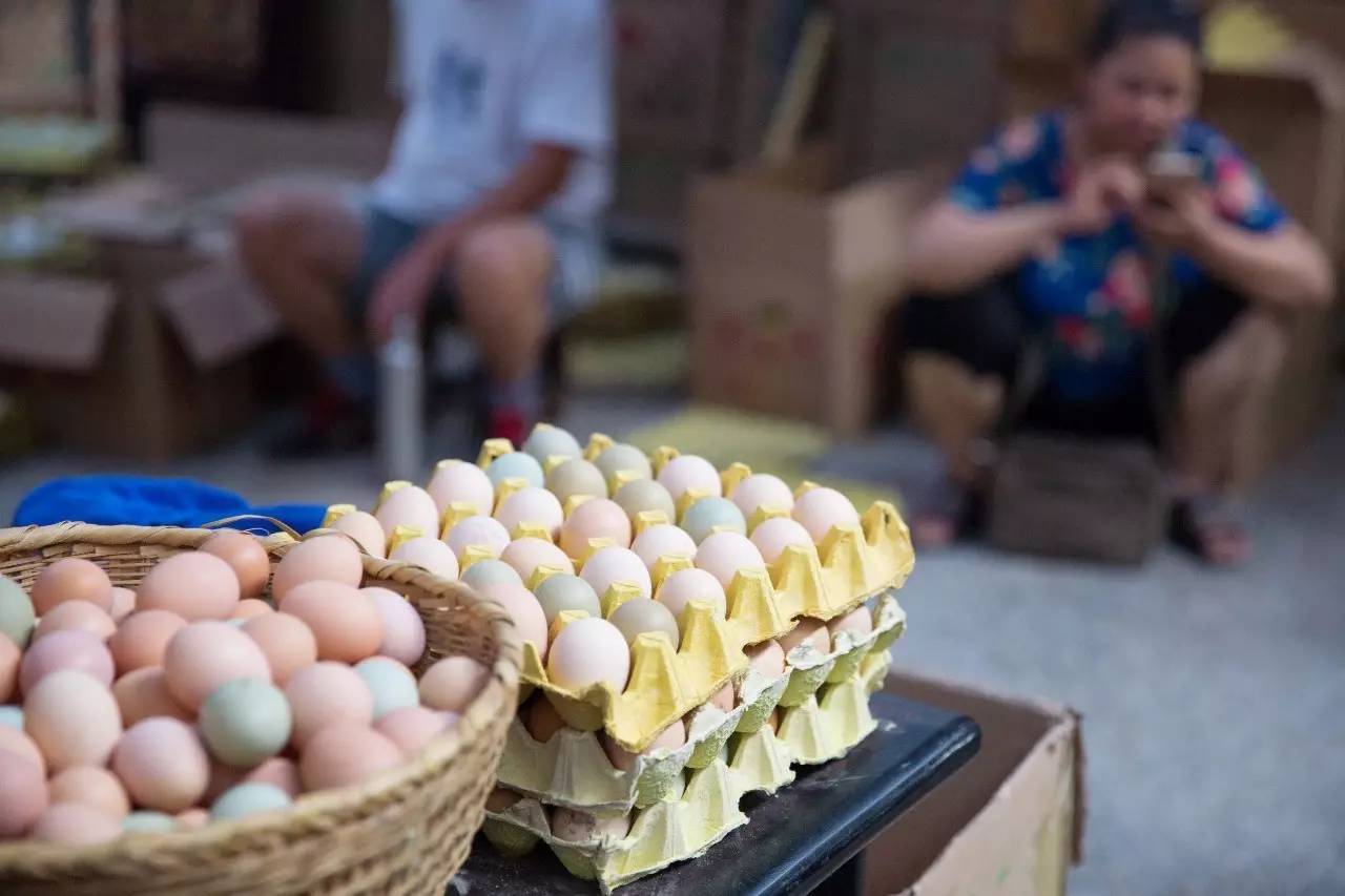 你好家乡的南湖,你好南湖红船