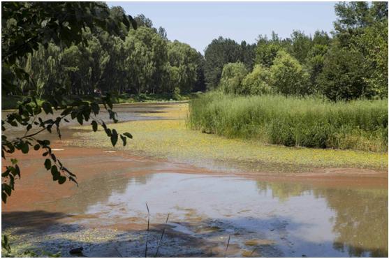 北京湿地公园推荐,天然氧吧旅游景点有哪些