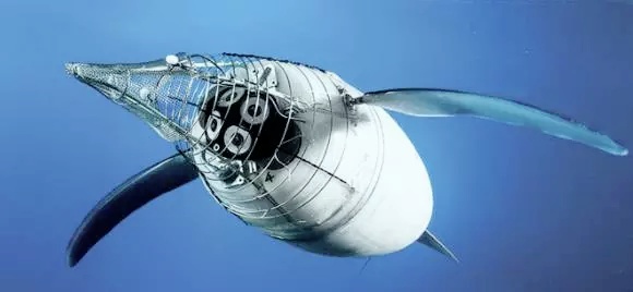 神的触手被做了出来，能够轻松吸住柱状体！