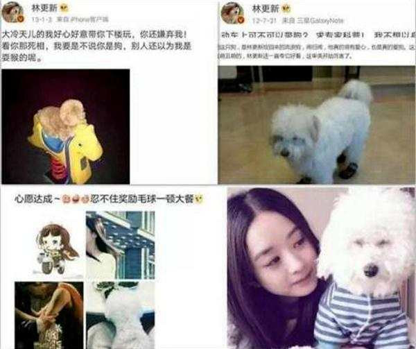 赵丽颖用这3张照片告诉你答案,赵丽颖为爱奋不顾身