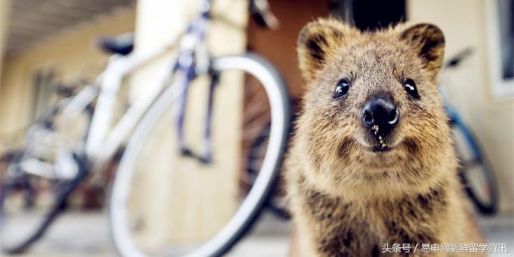 国外留学有犯罪记录,在美留学生拍照被抓