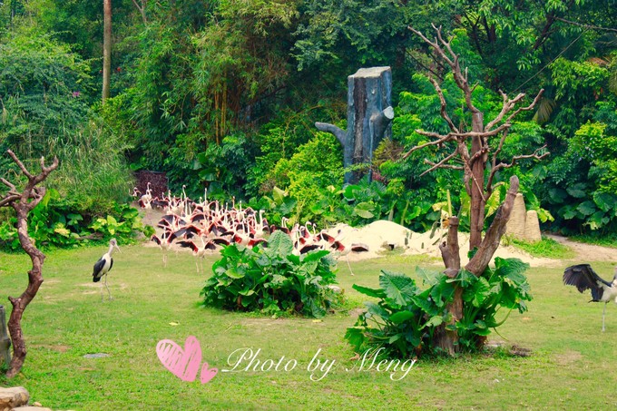 广州长隆动物园亲子游攻略三日游,珠海长隆海洋快速通道亲子游攻略