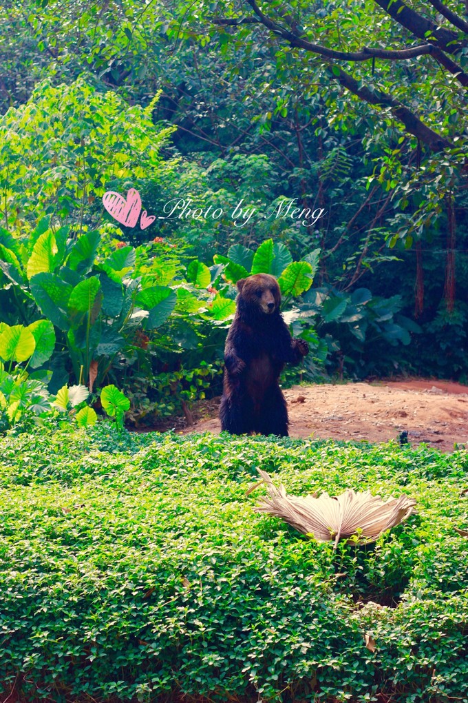 广州长隆动物园亲子游攻略三日游,珠海长隆海洋快速通道亲子游攻略