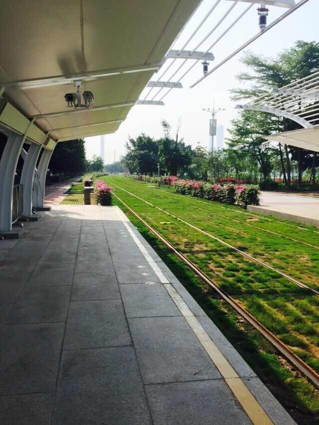 广州长隆动物园亲子游攻略三日游,珠海长隆海洋快速通道亲子游攻略