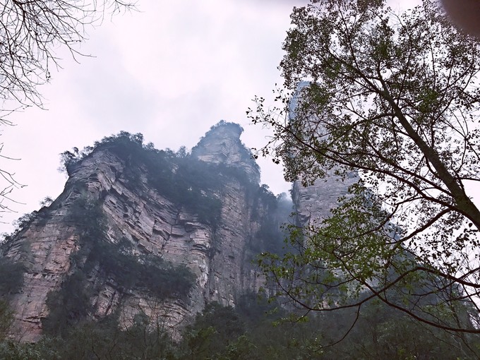 七天六晚长沙张家界吃货视角带你领略冰天雪地的张家