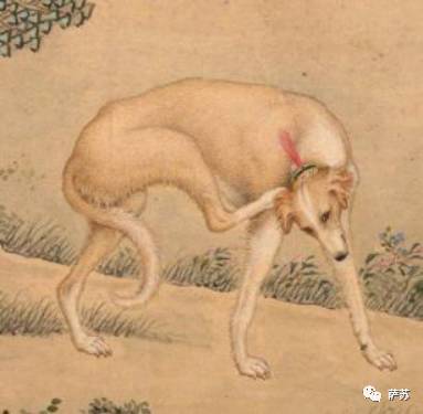 二郎神的宠物是哮天犬吗,历史记载二郎神的哮天犬是什么狗